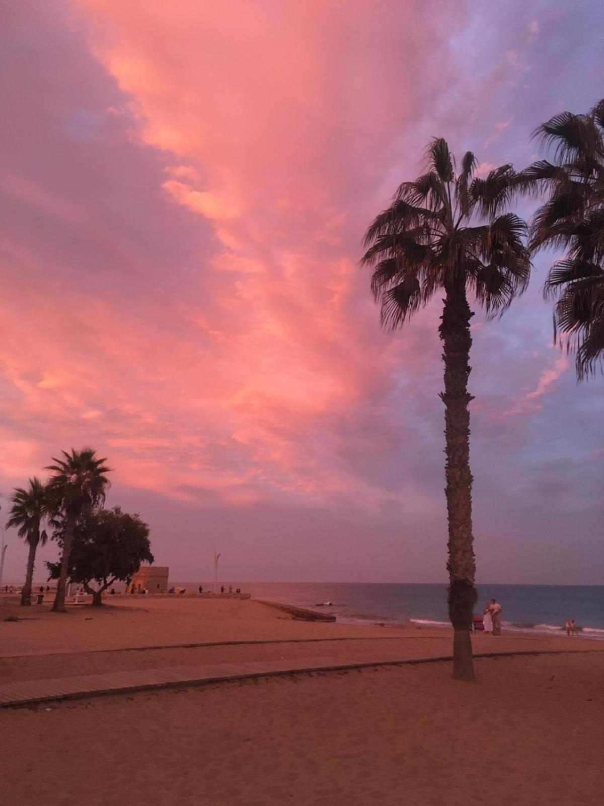 Apj Emperadores Apartment With Swimming Pool, 100 M From Beach La Mata 라 마타 외부 사진